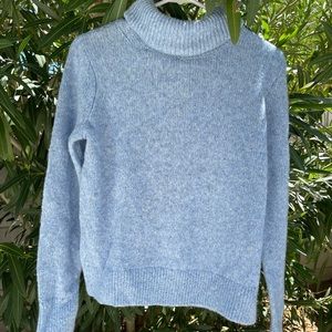 Banana Republic Wool Alpaca Blend Turtleneck Sweater
